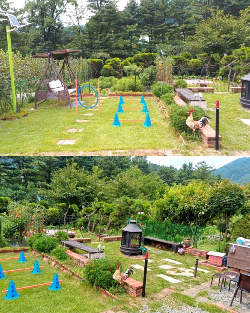 제목을_입력하세요_3 (28).jpg