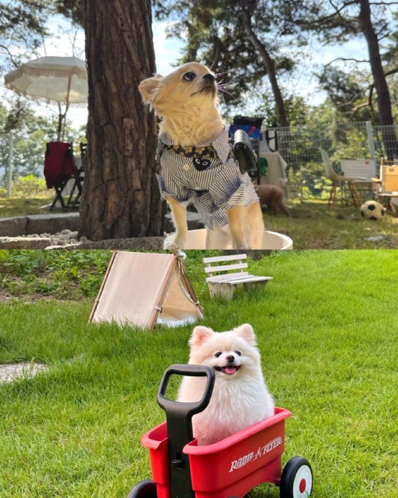 제목을_입력하세요_4 (30).jpg