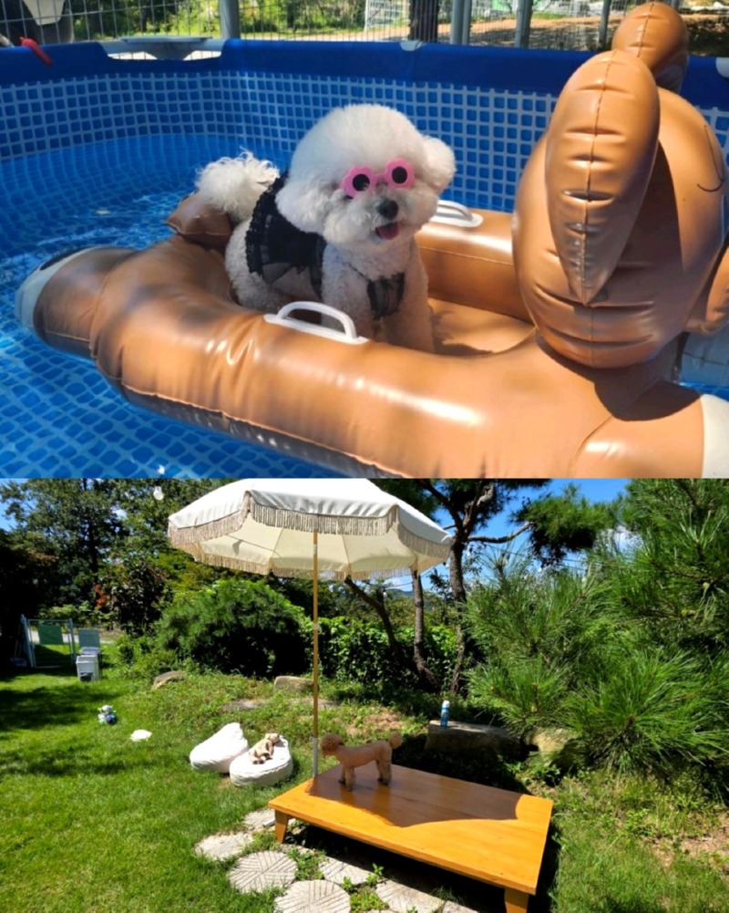 제목을_입력하세요_8 (29).jpg