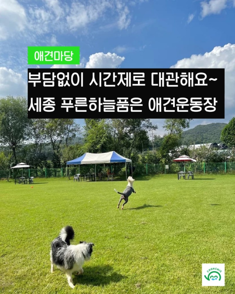 제목을_입력하세요_1 (30).jpg