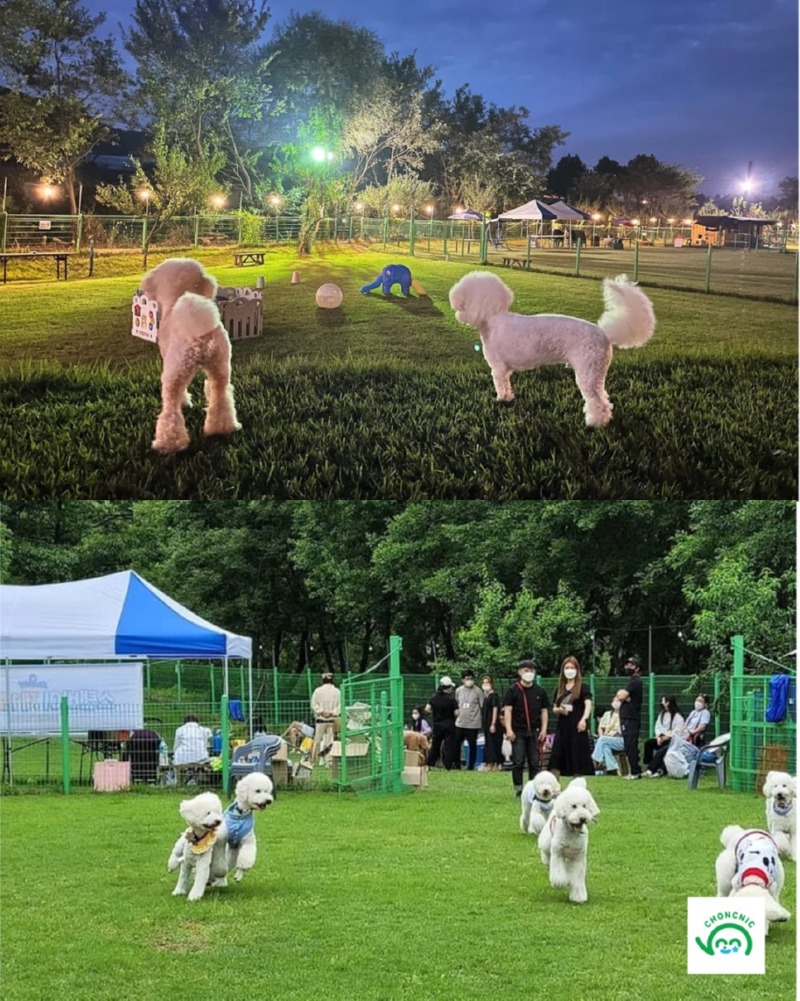제목을_입력하세요_6 (32).jpg