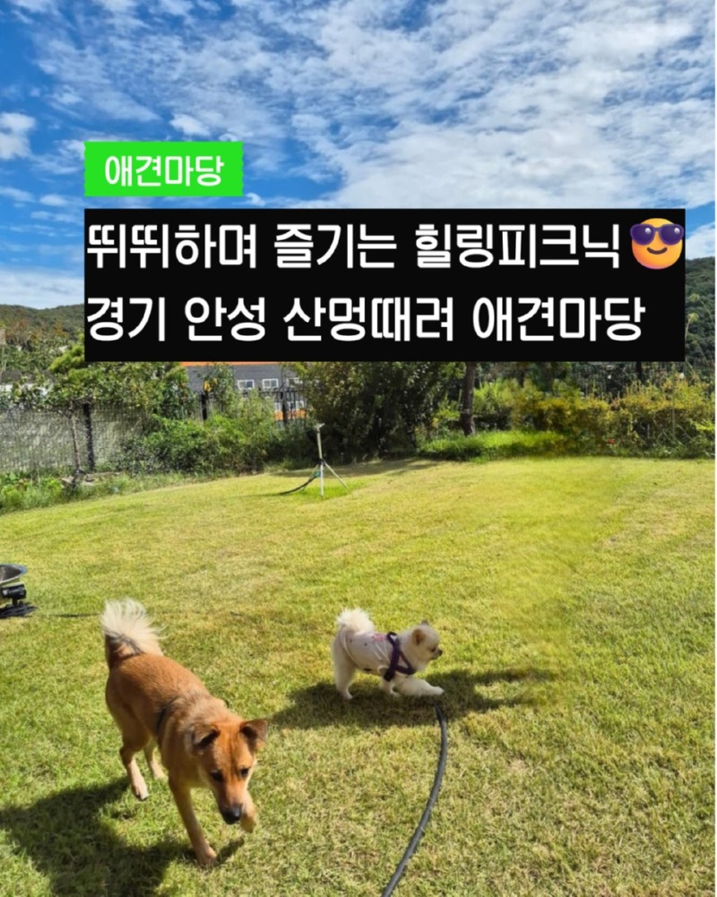 제목을_입력하세요_1 (32).jpg