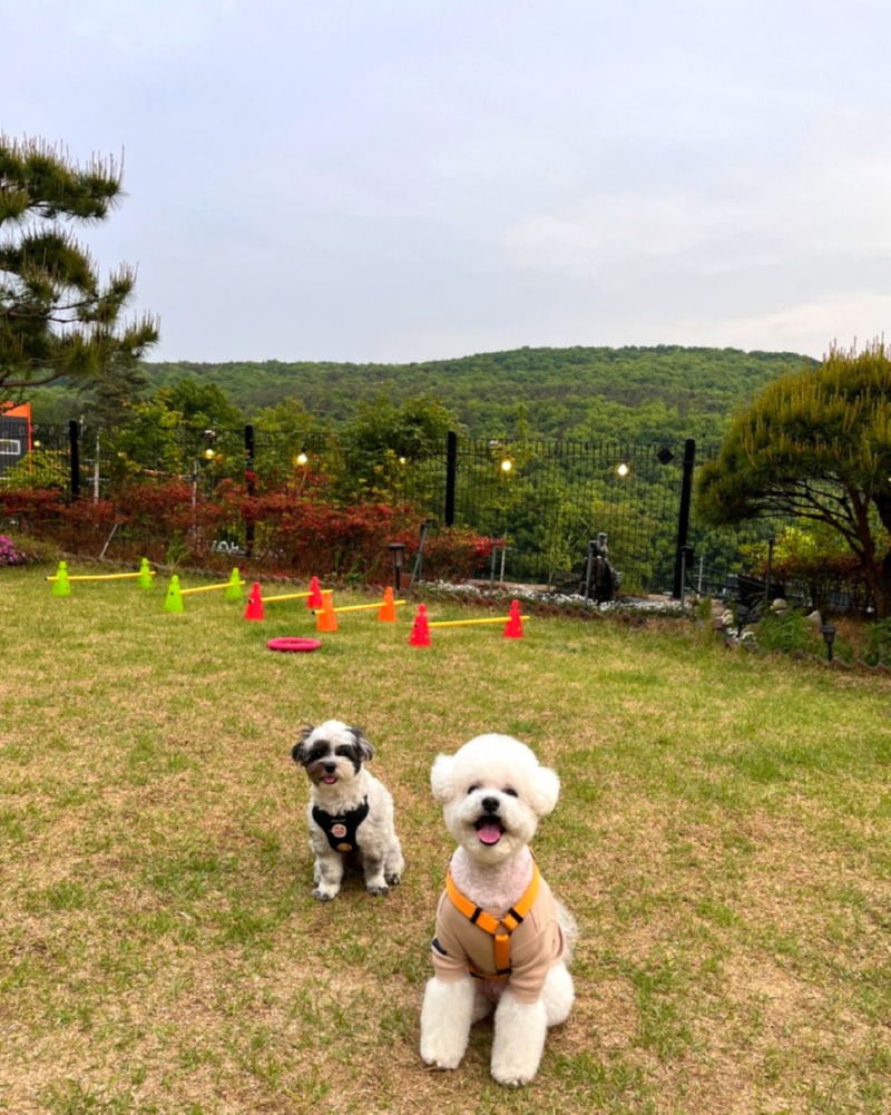 제목을_입력하세요_4 (33).jpg