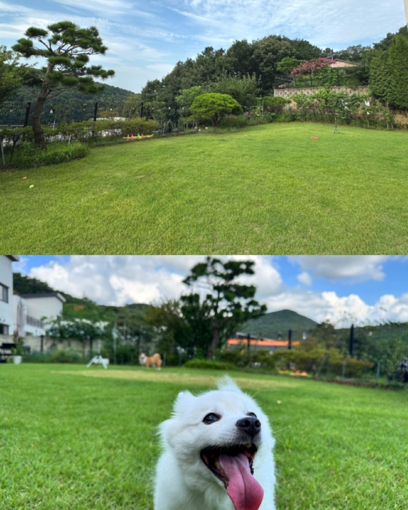 제목을_입력하세요_2 (33).jpg
