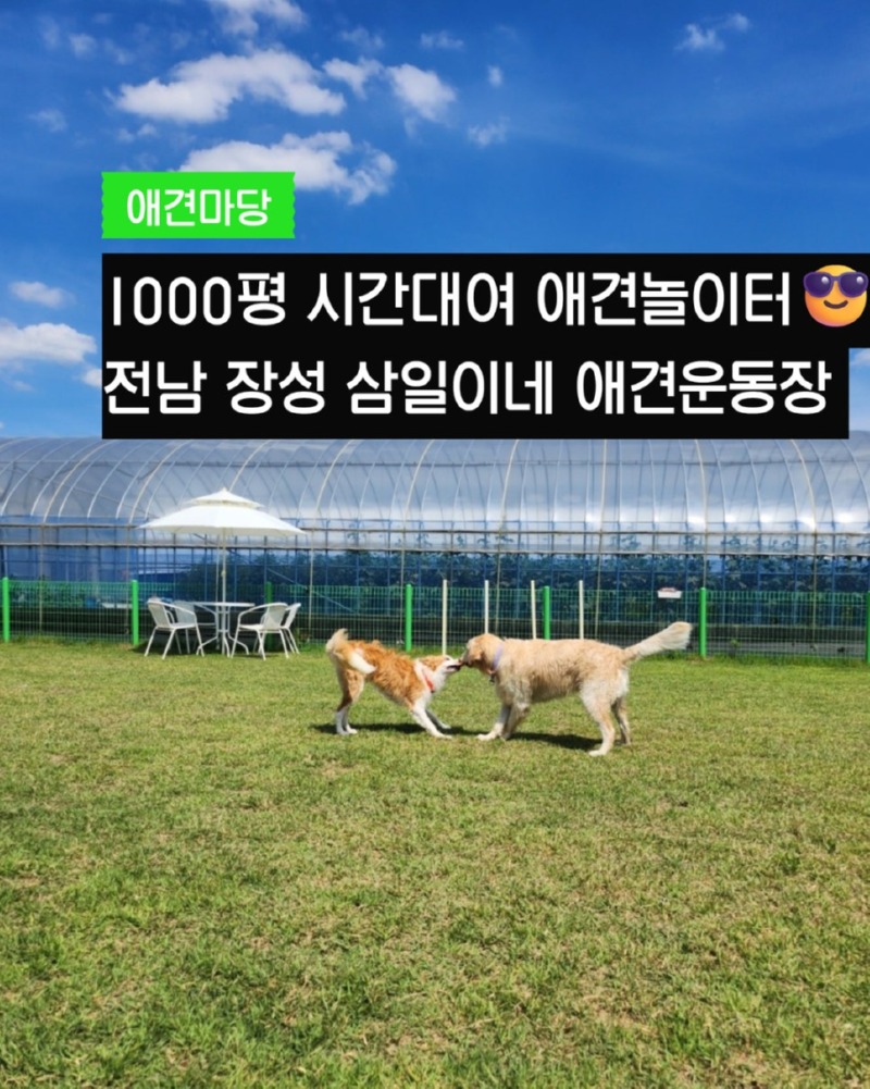 언덕위잔디,삼일이네_1.jpg