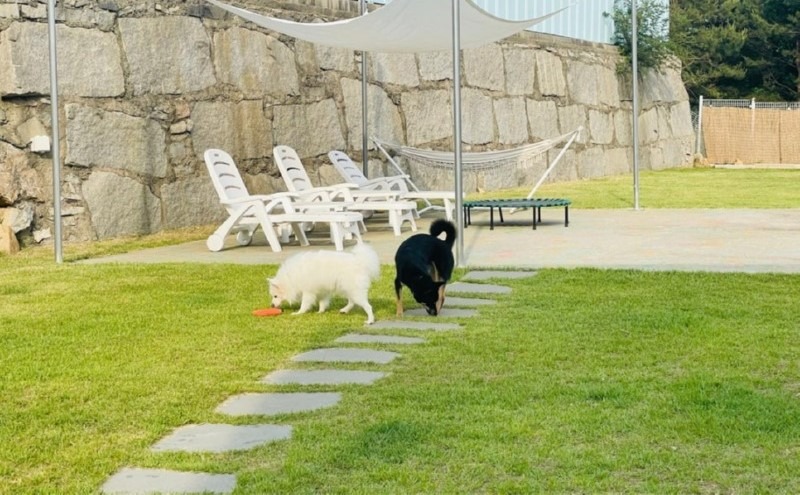 20250902205042_3aaf3dfc8d75164a624723ea4313e273_ronp (2).jpg