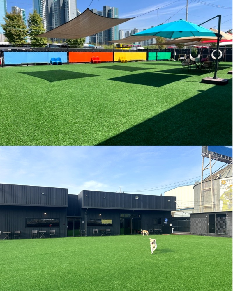 제목을 입력하세요 3.jpg