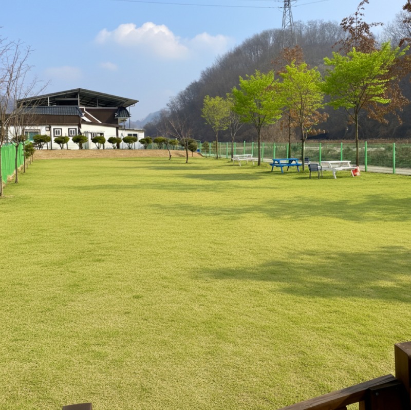 제목을 입력하세요 (85).jpg