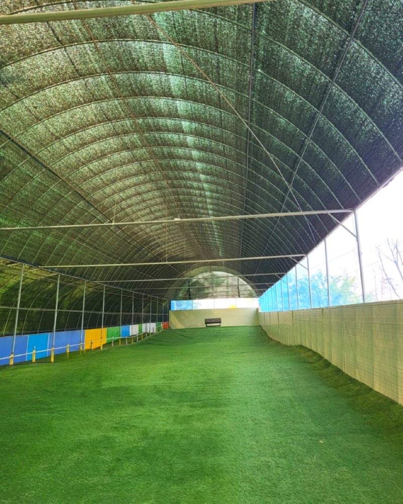 프라이빗멍멍_4 (1).jpg