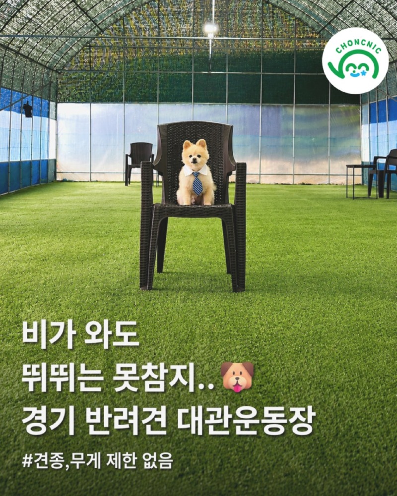 도그인카페_1.jpg