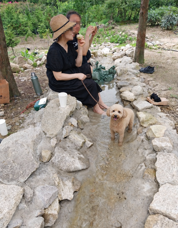 이안이네숲새꽃뜰.png