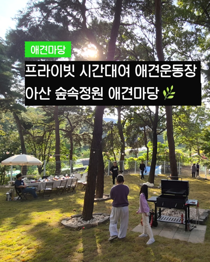 푸른하늘 글로리.jpg
