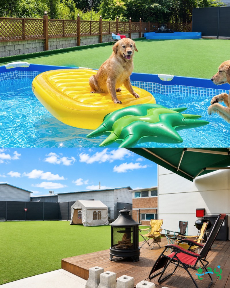김포 개놀자.jpg
