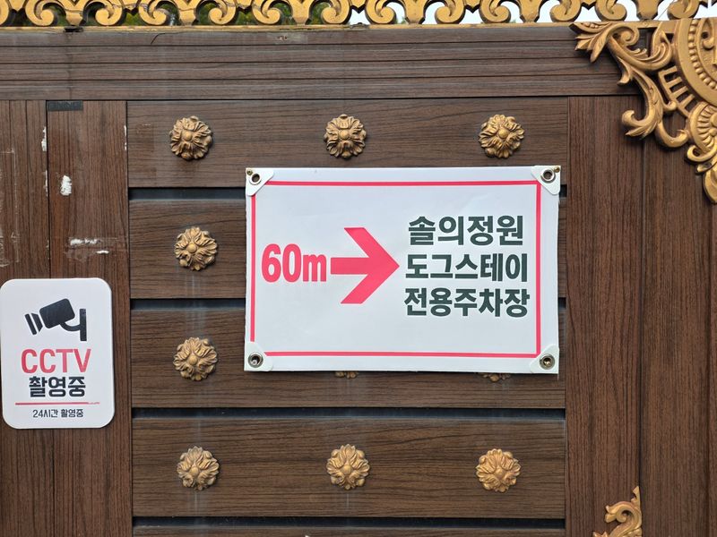 [경기 파주] 솔의정원 천연잔디 마당(구 프라도수녀원,…