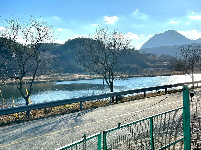 [충북 영동] 리버뷰, 400평 천연잔디와 독채카라반이 있는 시크릿정원