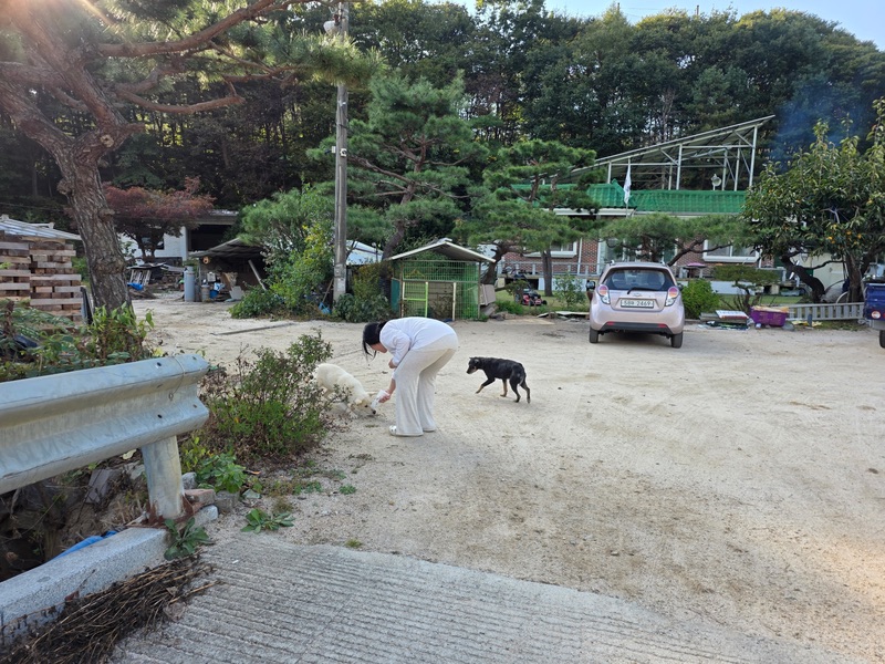 포토 리뷰