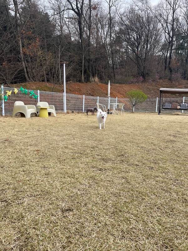 포토 리뷰