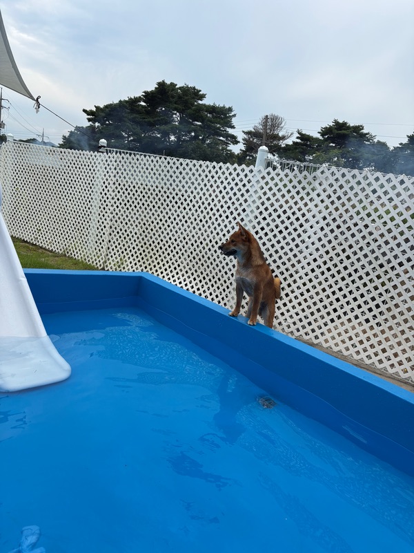 포토 리뷰