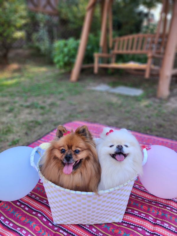 포토 리뷰
