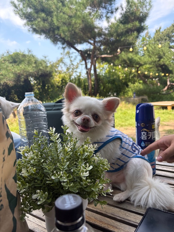 포토 리뷰