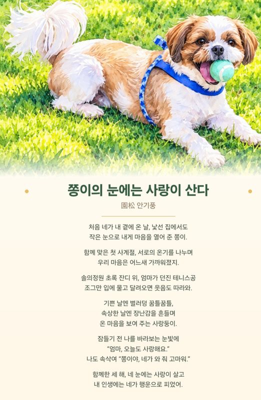포토 리뷰