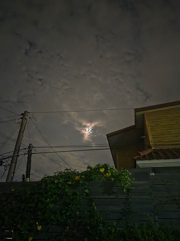 포토 리뷰