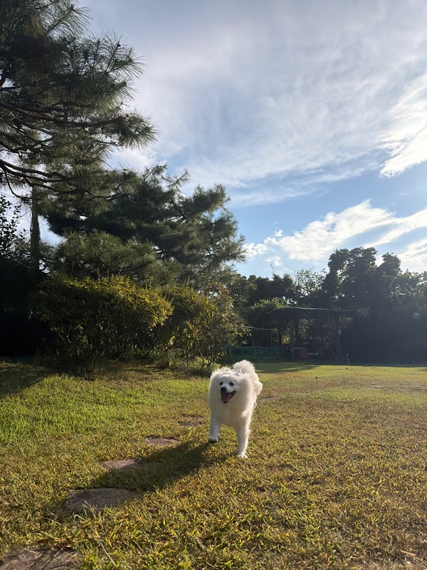 리얼 포토 리뷰