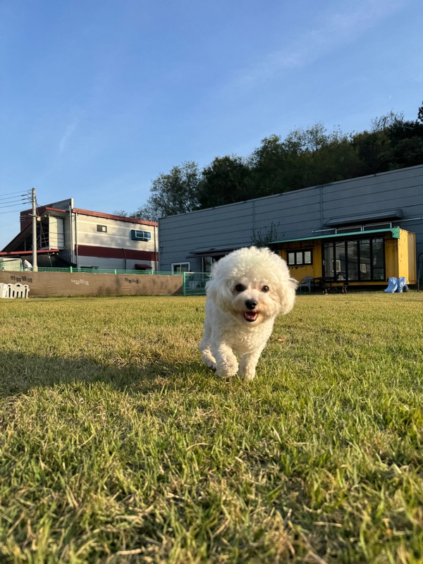 리얼 포토 리뷰