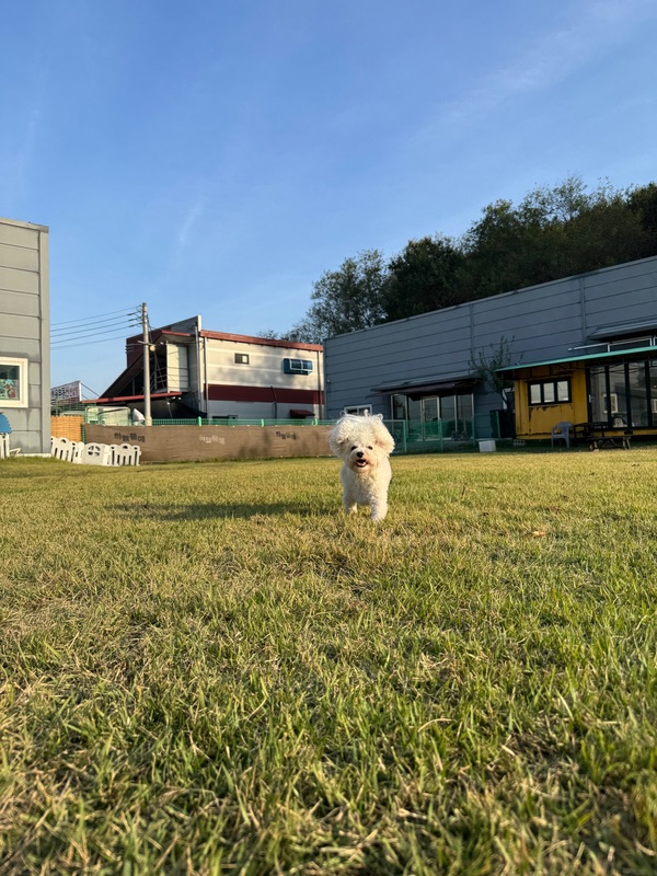 리얼 포토 리뷰