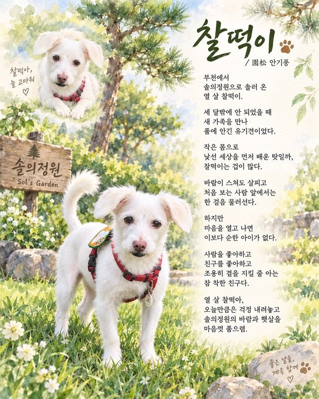 포토 리뷰