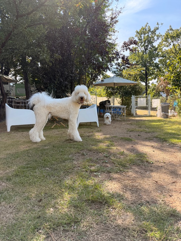 포토 리뷰