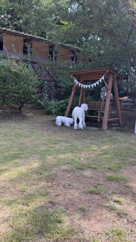 포토 리뷰