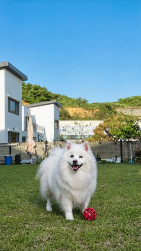 포토 리뷰