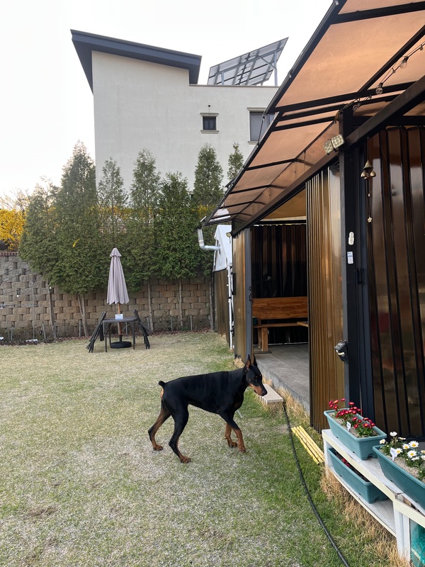 포토 리뷰